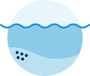 Sandy Bottom_Web.png